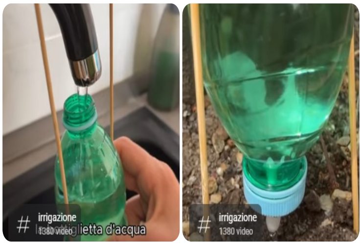 Bottiglia d'acqua