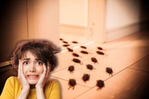 blatte in casa e donna spaventata