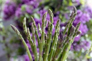 Asparagi