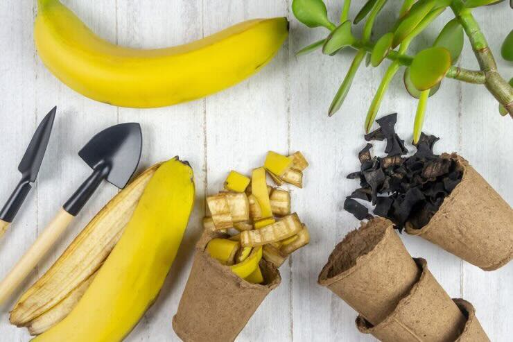 banane su tavolo 