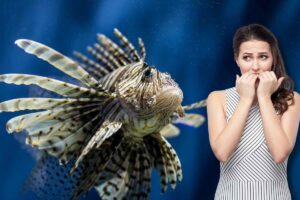 Pesce scorpione, donna spaventata