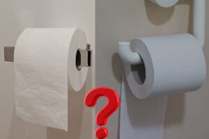 carta igienica e punto di domanda