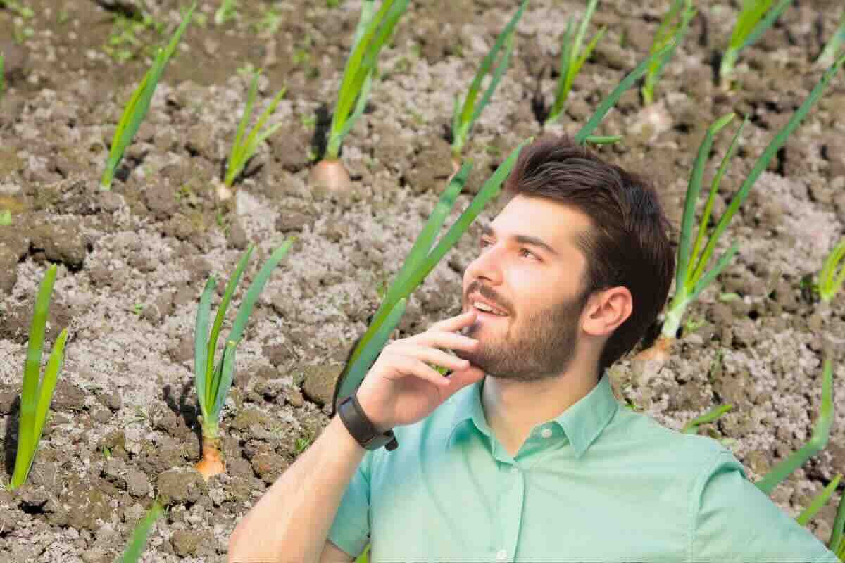 Campo con cipolle, uomo pensieroso